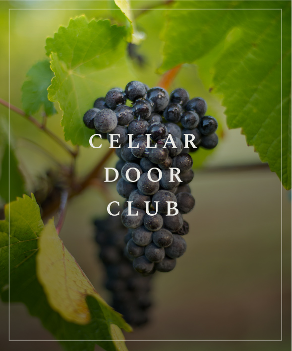 Join the Winter's Hill Cellar Door Club