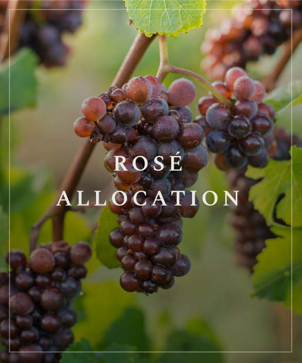 Winter's Hill Rose' Allocation