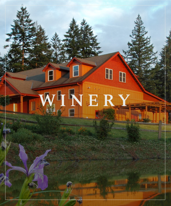 Winery at Winter's Hill in Dundee, Oregon