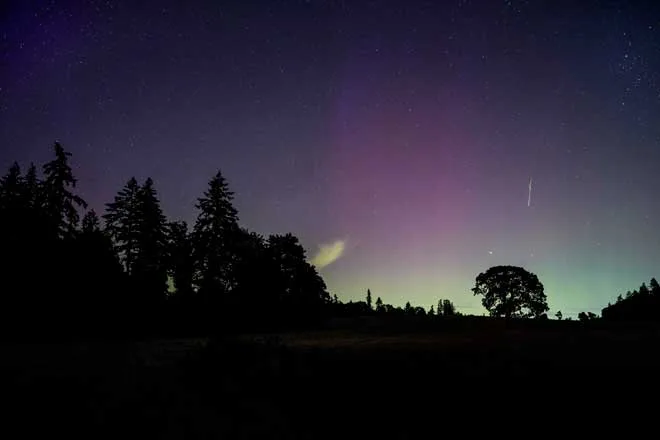 Perseid meteor shower above the Winter’s Hill Estate Vineyard in Dayton, Oregon