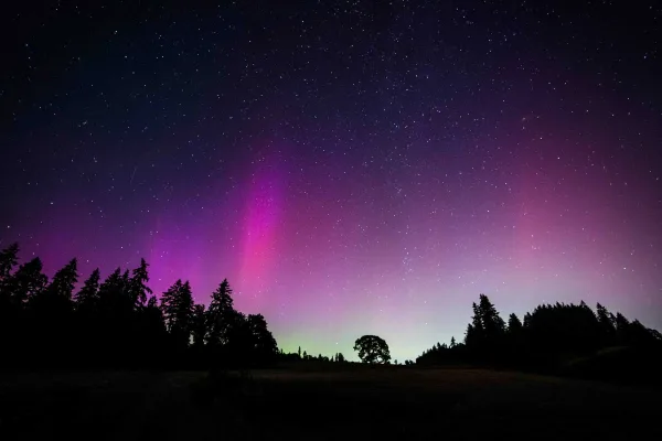 Perseid meteor shower above the Winter’s Hill Estate Vineyard.