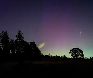 Perseid meteor shower above the Winter’s Hill Estate Vineyard.