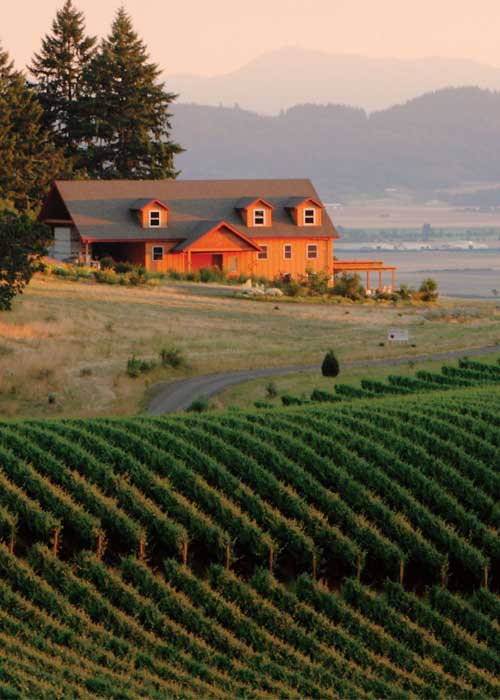 Winter's Hill Estate, Dayton, Oregon