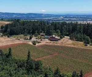 Home_Aerial_WintersHill - Winter's Hill Estate - Winter's Hill Estate - Winter's Hill Estate An aerial view of Winter's Hill Estate in Dayton, Oregon