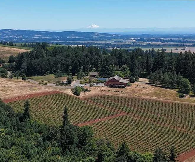 An aerial view of Winter's Hill Estate in Dayton, Oregon