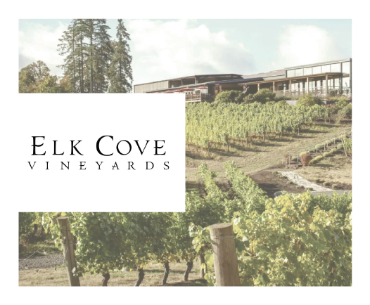 Elk Cove Vineyards at Pinot Blanc Oregon - Winter's Hill Estate - Winter's Hill Estate - Winter's Hill Estate Elk Cove Vineyards at Pinot Blanc Oregon