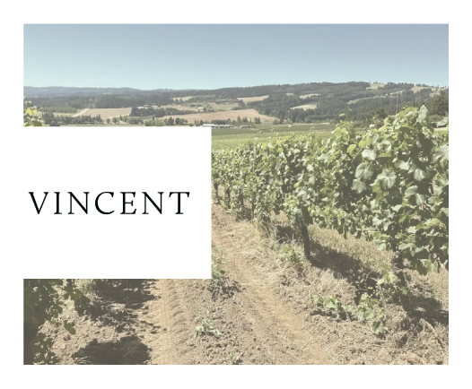 Vincent Wine Company at Pinot Blanc Oregon - Winter's Hill Estate - Winter's Hill Estate - Winter's Hill Estate Vincent Wine Company at Pinot Blanc Oregon