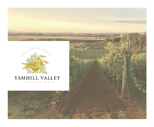 Yamhill Valley Vineyards at Pinot Blanc Oregon - Winter's Hill Estate - Winter's Hill Estate - Winter's Hill Estate Yamhill Valley Vineyards at Pinot Blanc Oregon