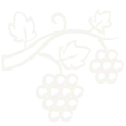 WHW26-0804 MM-RewardsProgram_Blanc Abstract cream-colored irregular blob on a black background (decorative image). If the image conveys a specific shape (e.g., a map silhouette), use a context-specific alt like 'Cream silhouette of a landmass on a black background.'