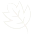WHW26-0804 MM-RewardsProgram_Gris Cartoon panda face icon with black ears and eye patches on a white background