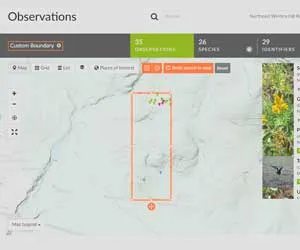 WH-Story-Home-Grid-iNaturalist The hero image for Let me tell you ‘bout the birds and the bees!, Winter's Hill blog story