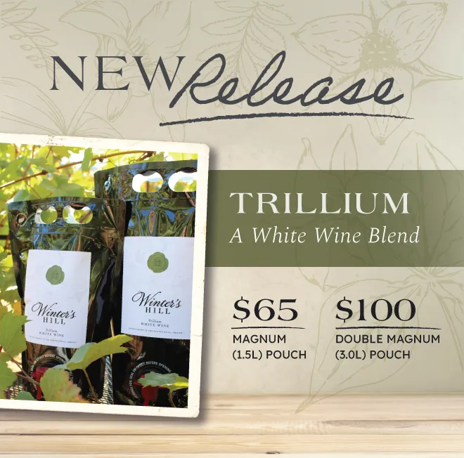 WHW-NR-TrilliumWhite_EmailBkgd https://wintershillwine.com/story/our-new-white-wine-blend-is-here/